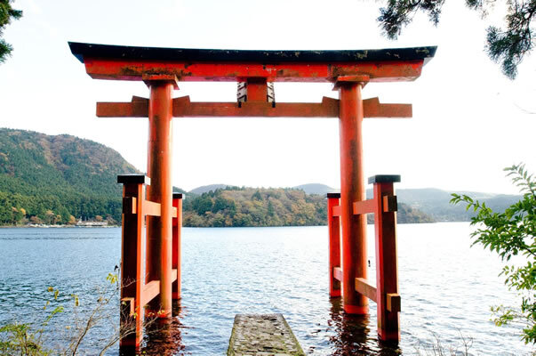 シンクアフェーズ株式会社のプレスリリース画像1