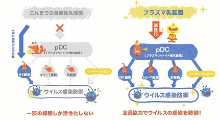 キリン株式会社のプレスリリース画像4