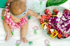 ネットラボ株式会社のプレスリリース