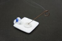 株式会社岩佐佛喜堂のプレスリリース画像1