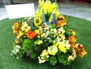 インクルージョン・ジャパン株式会社のプレスリリース画像2