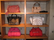 Rose Line合同会社のプレスリリース画像3