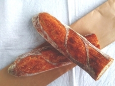 アイアンドティーコンサルティング有限会社のプレスリリース画像2