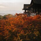 音羽山 清水寺のプレスリリース画像1