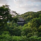 音羽山 清水寺のプレスリリース画像3