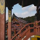 音羽山 清水寺のプレスリリース画像5