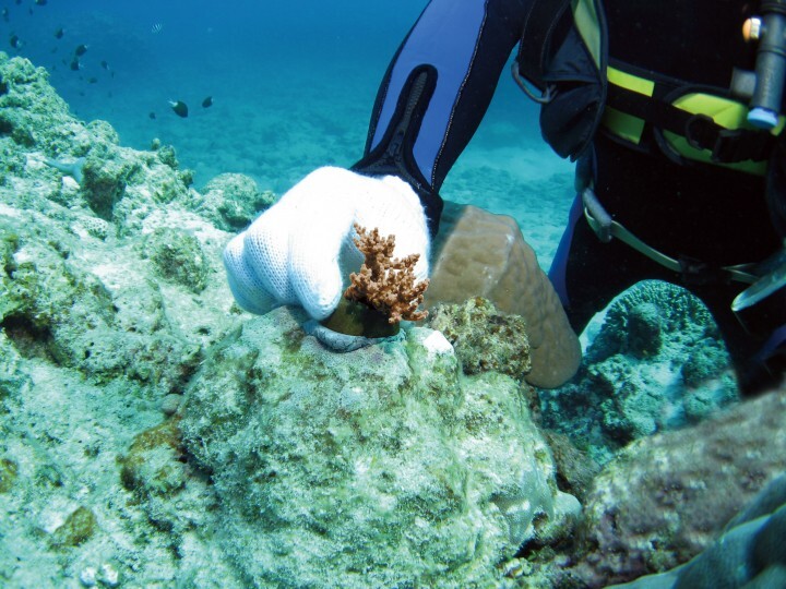 株式会社パムのプレスリリース画像1