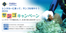 株式会社パムのプレスリリース3