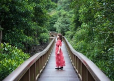 株式会社パムのプレスリリース画像1