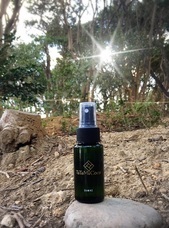 CMO合同会社のプレスリリース