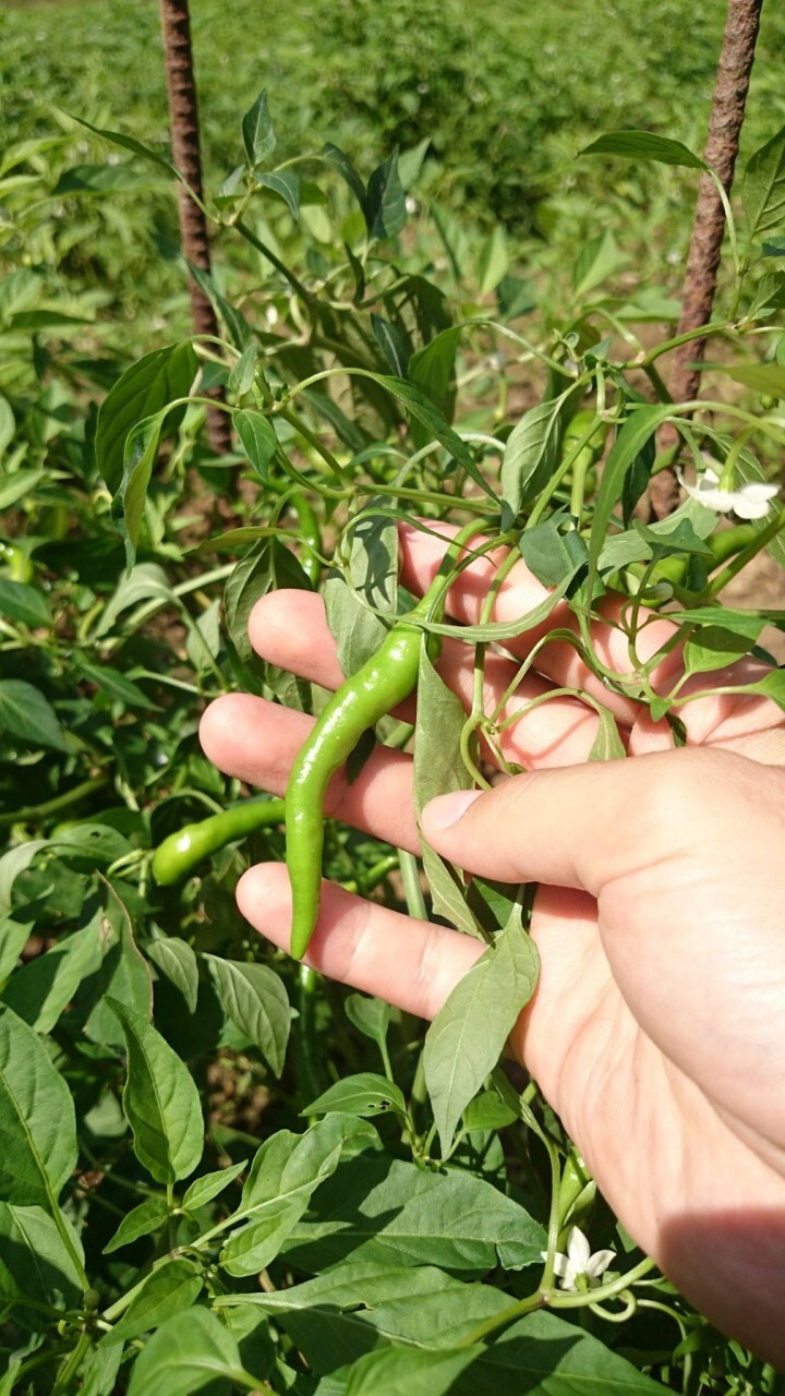 株式会社ビズ・ナビ＆カンパニーのプレスリリース画像1