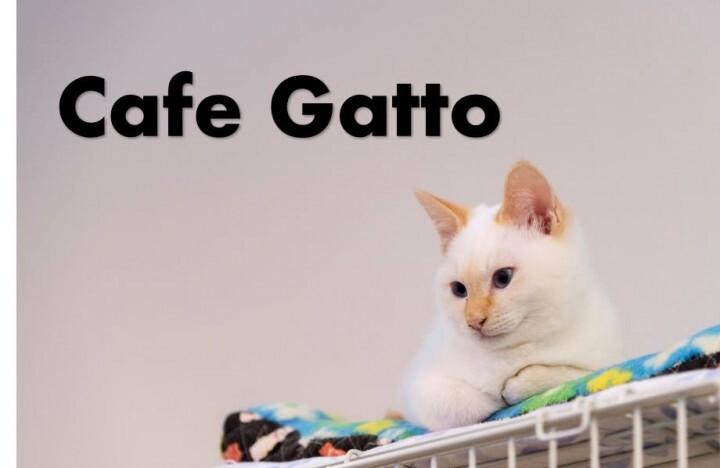 株式会社ビズ・ナビ＆カンパニーのプレスリリース画像2