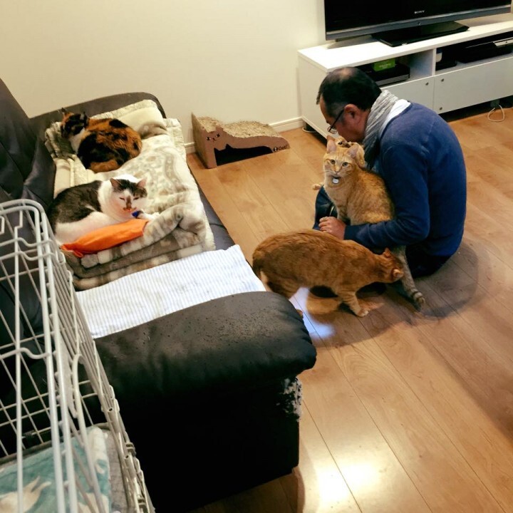 株式会社ビズ・ナビ＆カンパニーのプレスリリース画像4