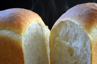 マリエンタルランド株式会社のプレスリリース見出し画像