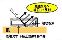 株式会社イプサのプレスリリース画像9