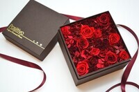 Positivoのプレスリリース画像1