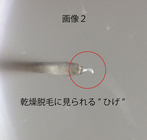 ルリユール合同会社のプレスリリース画像2