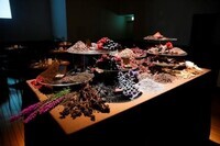 株式会社カネボウ化粧品のプレスリリース画像4