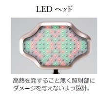 ペキュリア株式会社のプレスリリース画像2