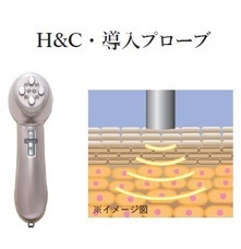 ペキュリア株式会社のプレスリリース画像4