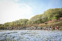 NPO法人ゼロワンのプレスリリース画像3