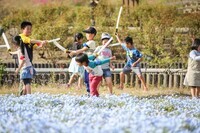 NPO法人ゼロワンのプレスリリース画像2