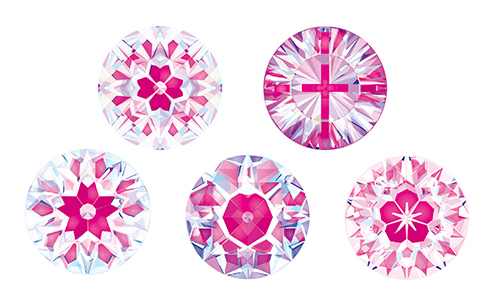 株式会社スガルトのプレスリリース画像2