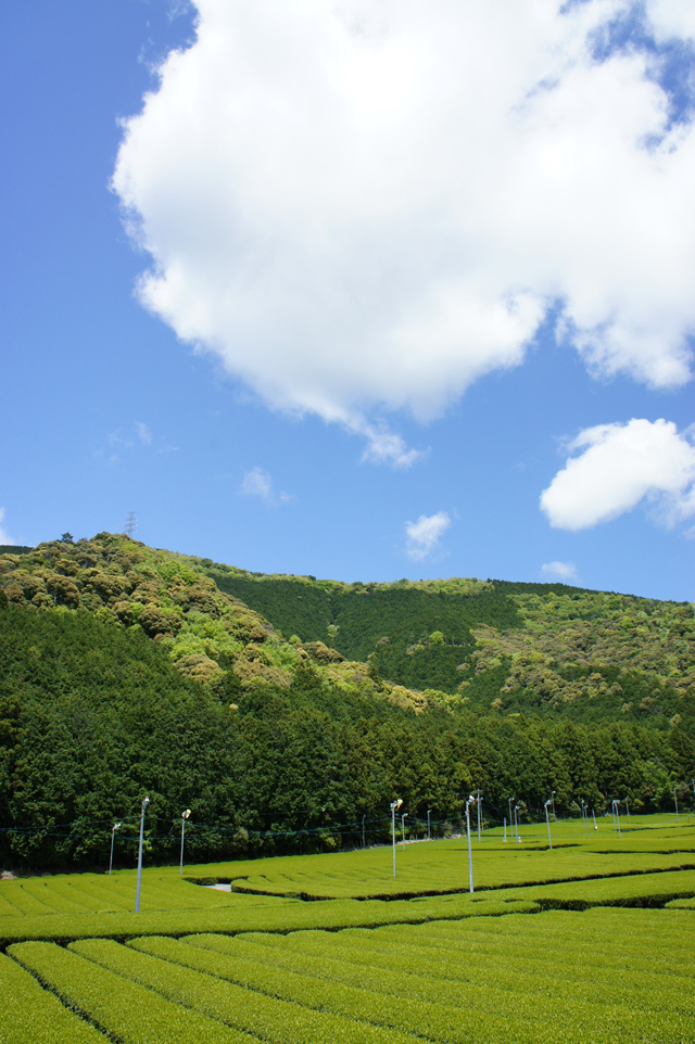 株式会社ファースのプレスリリース画像7