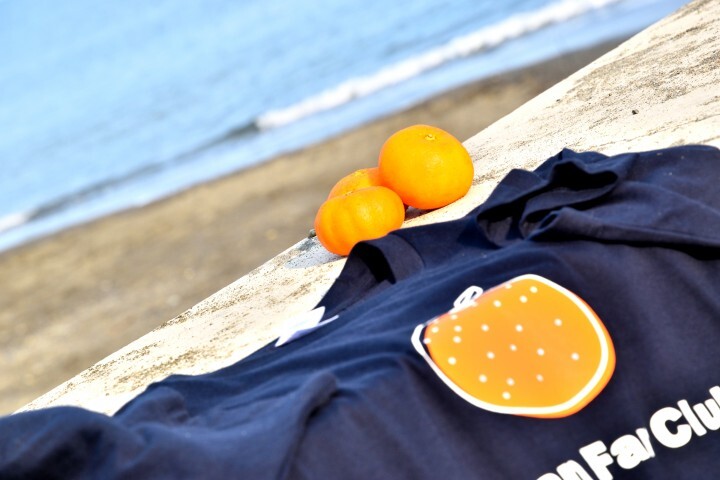 東大みかん愛好会のプレスリリース画像1