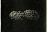 宝塚大学　東京メディア芸術学部（東京新宿キャンパス）のプレスリリース画像4