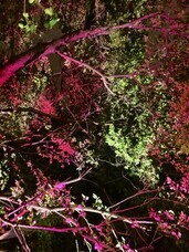 宝塚大学　東京メディア芸術学部（東京新宿キャンパス）のプレスリリース画像1