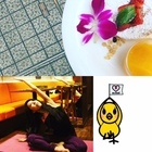 KOA PANCAKE HOUSE SHIBUYAのプレスリリース