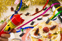 株式会社ヴィレッジヴァンガードコーポレーションのプレスリリース