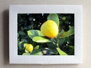 有限会社ハートブレーンのプレスリリース画像1