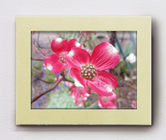 有限会社ハートブレーンのプレスリリース画像2