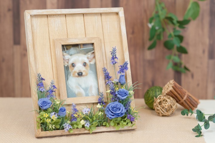 フラワースタジオプリズムのプレスリリース画像8