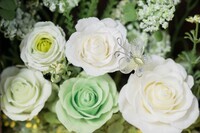 フラワースタジオプリズムのプレスリリース画像7