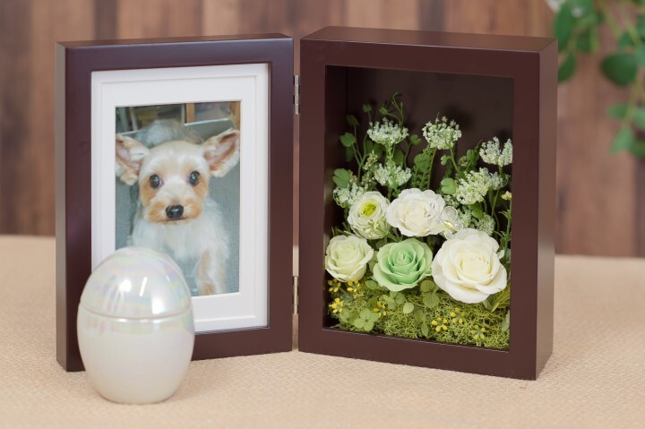 フラワースタジオプリズムのプレスリリース画像5