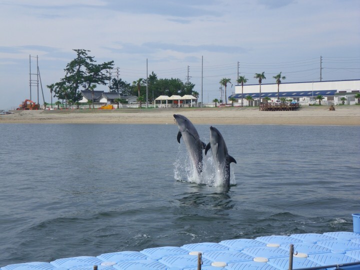 株式会社ネプロス・レーヴのプレスリリース画像4