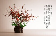 株式会社日本マンパワーのプレスリリース画像1