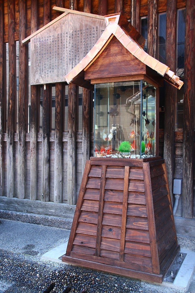 アクアリウムwebマガジン キワメテ！水族館のプレスリリース画像1