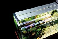 アクアリウムwebマガジン キワメテ！水族館のプレスリリース画像1