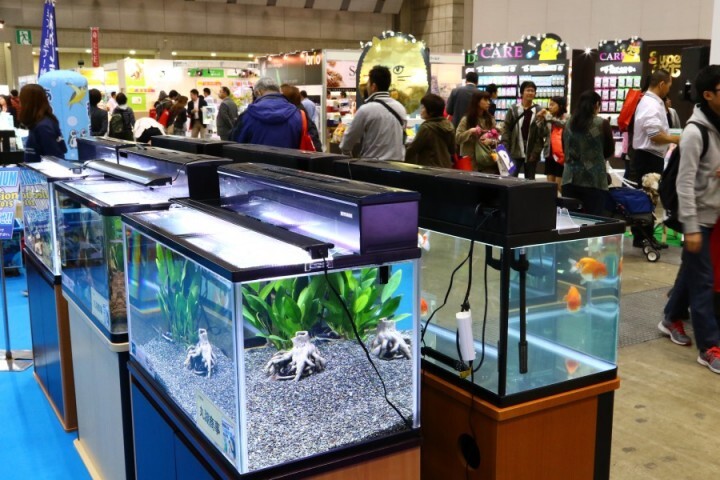 アクアリウムwebマガジン キワメテ！水族館のプレスリリース画像1