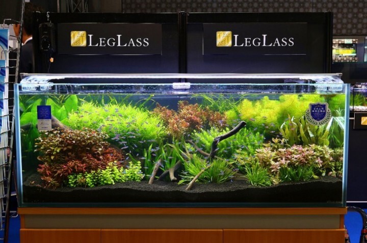 アクアリウムwebマガジン キワメテ！水族館のプレスリリース画像1