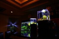 アクアリウムwebマガジン キワメテ！水族館のプレスリリース画像1