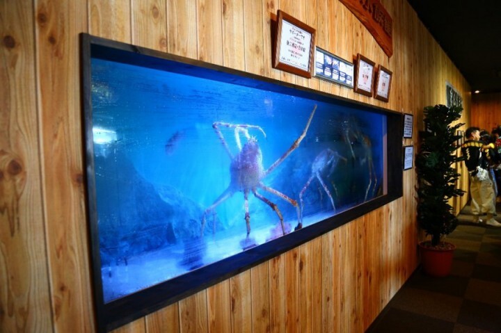 アクアリウムwebマガジン キワメテ！水族館のプレスリリース画像1