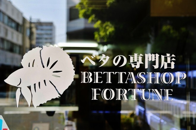 アクアリウムwebマガジン キワメテ！水族館のプレスリリース画像1