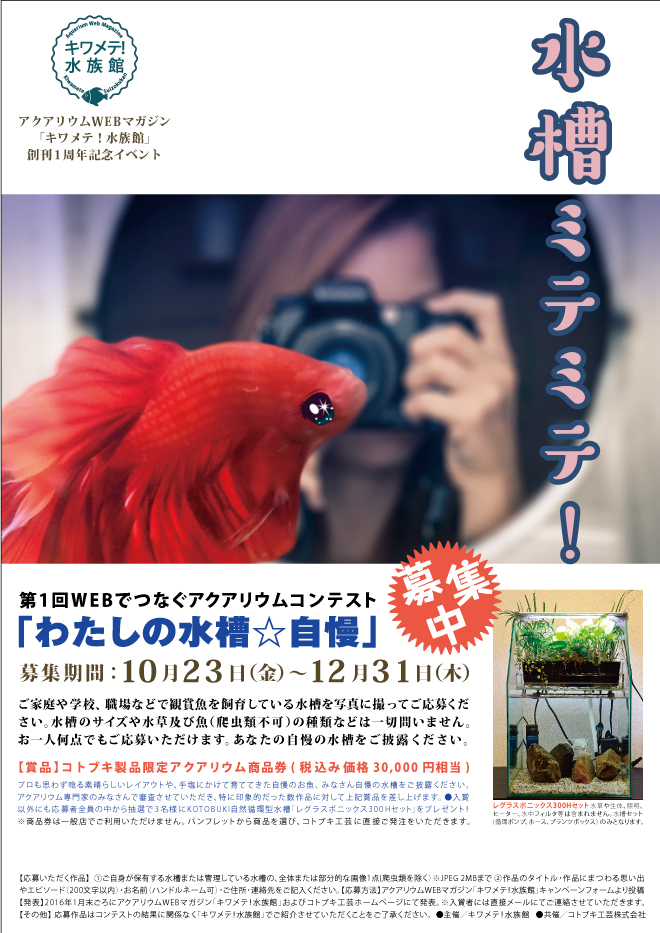アクアリウムwebマガジン キワメテ！水族館のプレスリリース画像1