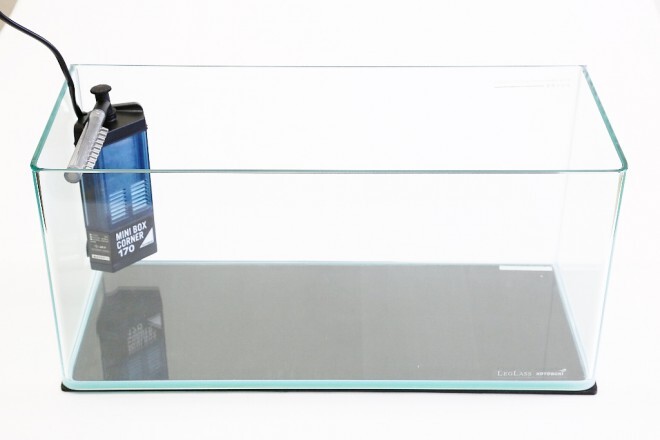 アクアリウムwebマガジン キワメテ！水族館のプレスリリース画像1