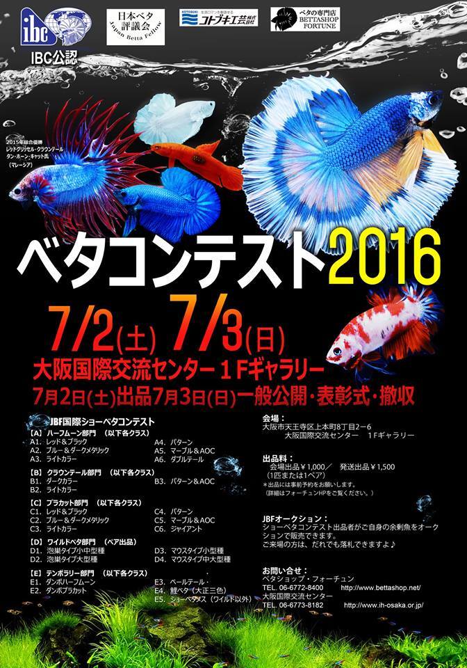 アクアリウムwebマガジン キワメテ！水族館のプレスリリース画像1